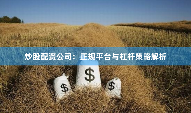 炒股配资公司：正规平台与杠杆策略解析